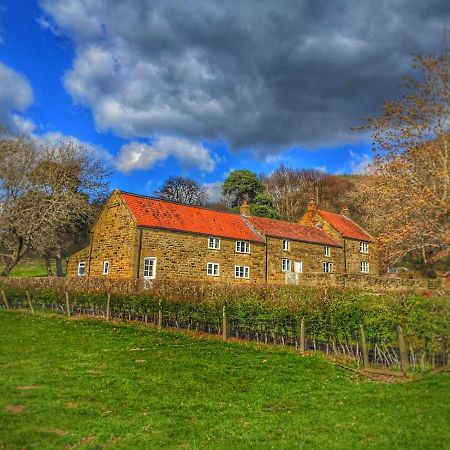 Park House Bed & Breakfast Ingleby Arncliffe Екстериор снимка