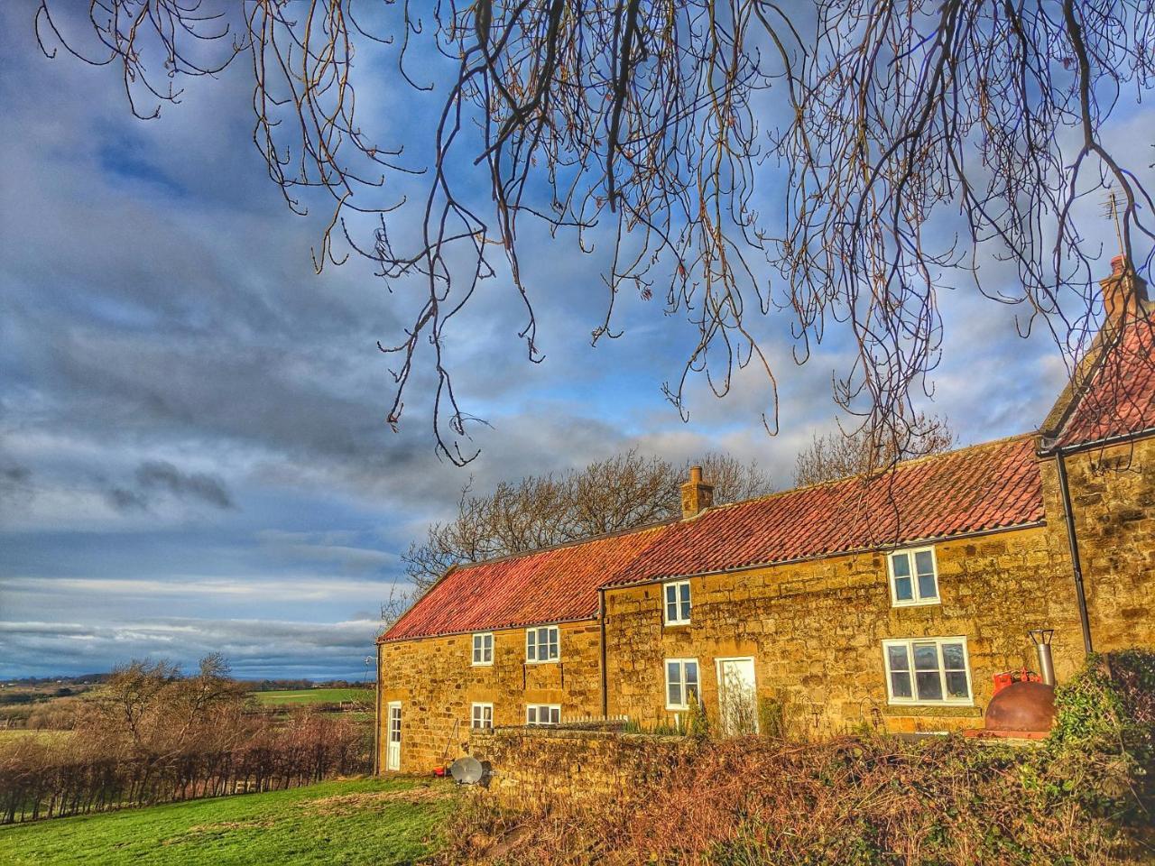 Park House Bed & Breakfast Ingleby Arncliffe Екстериор снимка