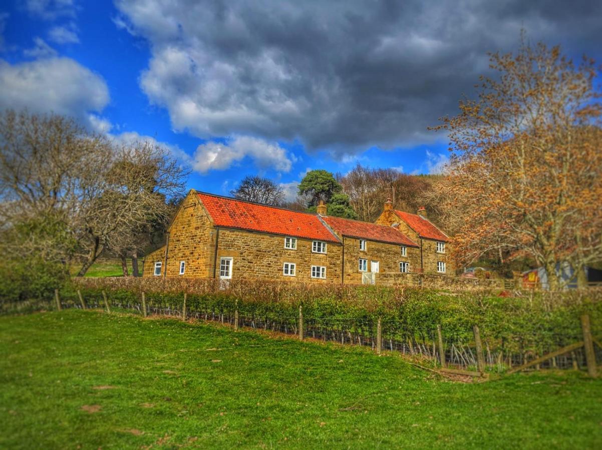Park House Bed & Breakfast Ingleby Arncliffe Екстериор снимка